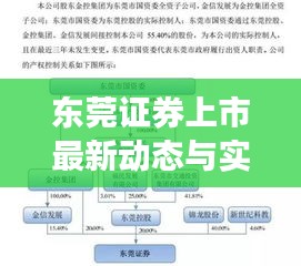 东莞证券上市最新动态与实时控制策略探讨