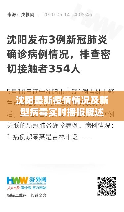 沈阳最新疫情情况及新型病毒实时播报概述