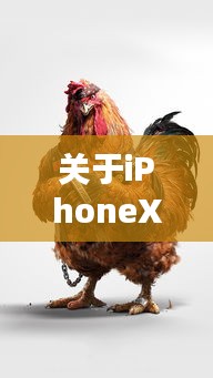 关于iPhoneX实时照片壁纸与电煤抓鸡价格的阐述