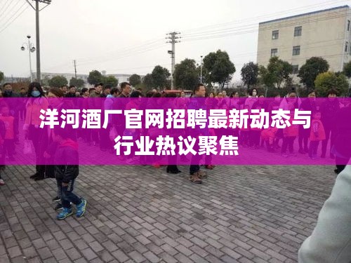 洋河酒厂官网招聘最新动态与行业热议聚焦