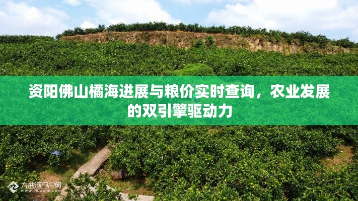 资阳佛山橘海进展与粮价实时查询,农业发展的双引擎驱动力