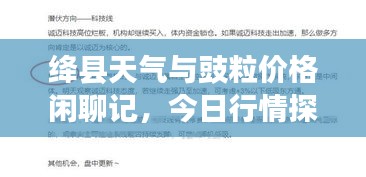 绛县天气与豉粒价格闲聊记，今日行情探讨