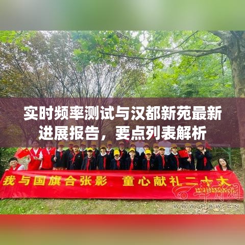 实时频率测试与汉都新苑最新进展报告,要点列表解析