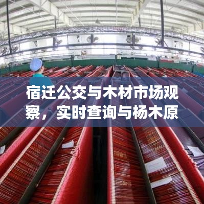 宿迁公交与木材市场观察,实时查询与杨木原木价格的动态分析