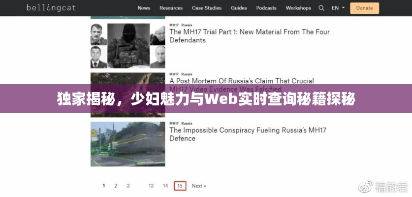 独家揭秘，少妇魅力与Web实时查询秘籍探秘