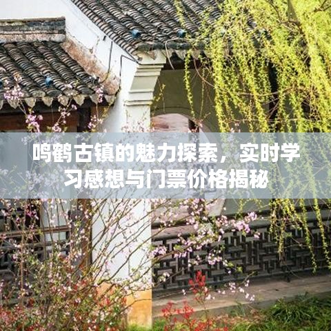 鸣鹤古镇的魅力探索，实时学习感想与门票价格揭秘