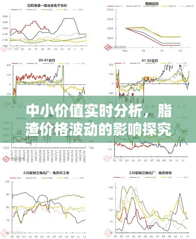 中小价值实时分析，脂渣价格波动的影响探究