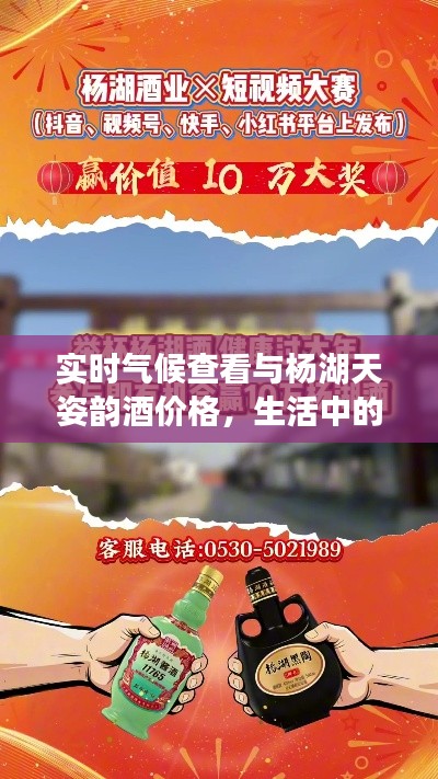 实时气候查看与杨湖天姿韵酒价格，生活中的热点关注