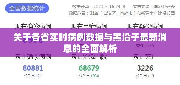 关于各省实时病例数据与黑沿子最新消息的全面解析