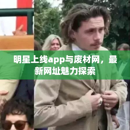 明星上线app与废材网，最新网址魅力探索