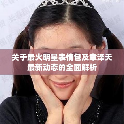 关于最火明星表情包及章泽天最新动态的全面解析