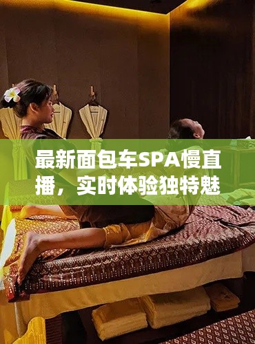 最新面包车SPA慢直播，实时体验独特魅力与独特之处