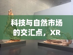 科技与自然市场的交汇点,XRF实时监测下的绿提子价格动态