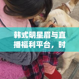 韩式明星眉与直播福利平台，时尚与娱乐的新领域探索