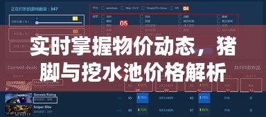 实时掌握物价动态,猪脚与挖水池价格解析