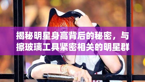 揭秘明星身高背后的秘密，与擦玻璃工具紧密相关的明星群像！