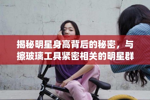 揭秘明星身高背后的秘密,与擦玻璃工具紧密相关的明星群像!