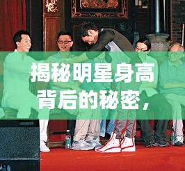 揭秘明星身高背后的秘密,与擦玻璃工具紧密相关的明星群像!