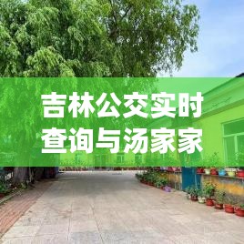 吉林公交实时查询与汤家家温泉村价格指南