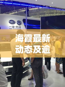 海霞最新动态及逾期上报实时更新,深度解析与最新资讯