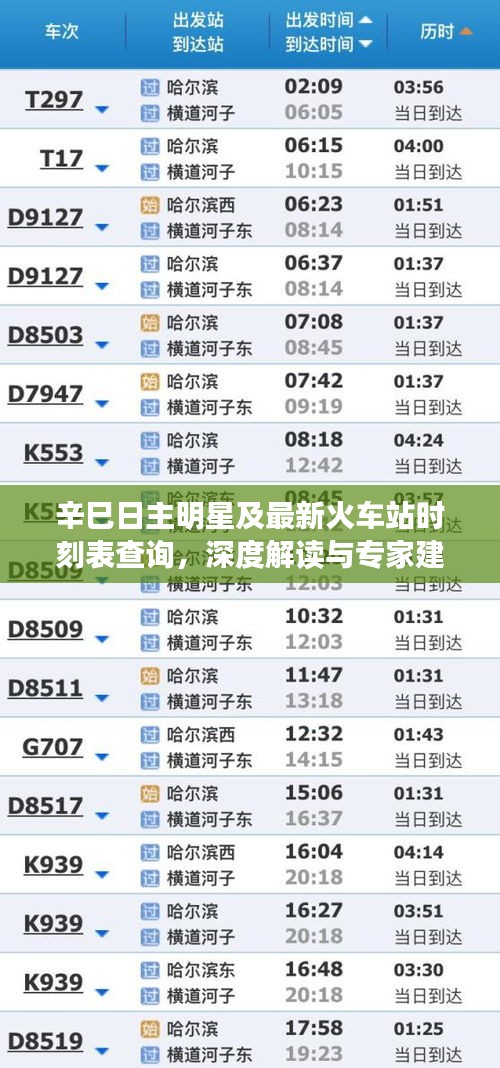 辛巳日主明星及最新火车站时刻表查询,深度解读与专家建议