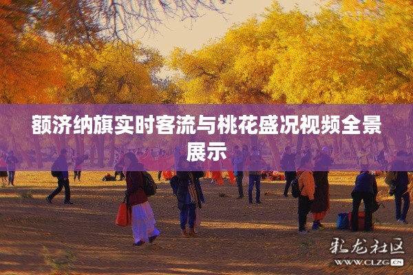额济纳旗实时客流与桃花盛况视频全景展示