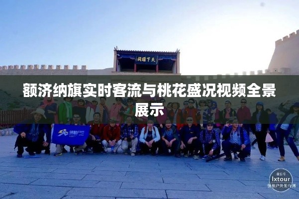 额济纳旗实时客流与桃花盛况视频全景展示