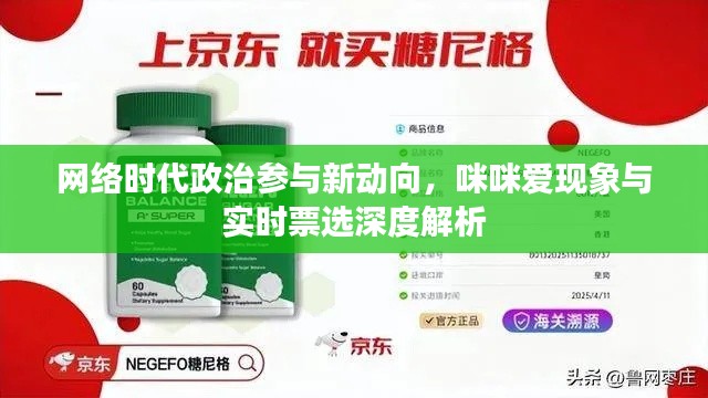 网络时代政治参与新动向,咪咪爱现象与实时票选深度解析