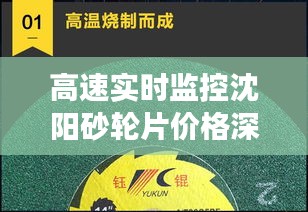 高速实时监控沈阳砂轮片价格深度剖析
