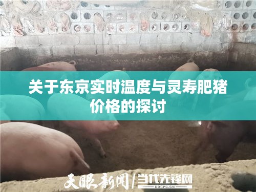 关于东京实时温度与灵寿肥猪价格的探讨
