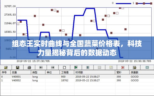 组态王实时曲线与全国蔬菜价格表，科技力量揭秘背后的数据动态