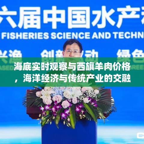 海底实时观察与西旗羊肉价格，海洋经济与传统产业的交融发展