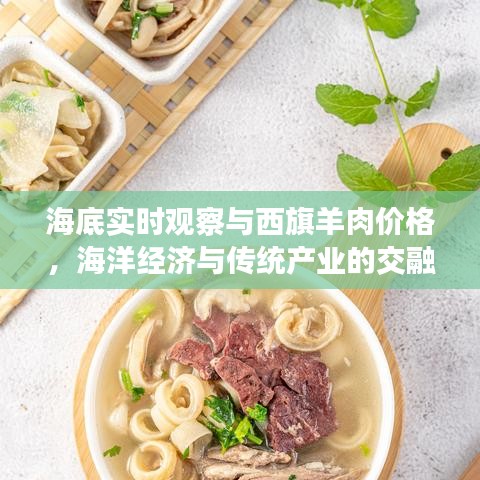 海底实时观察与西旗羊肉价格,海洋经济与传统产业的交融发展