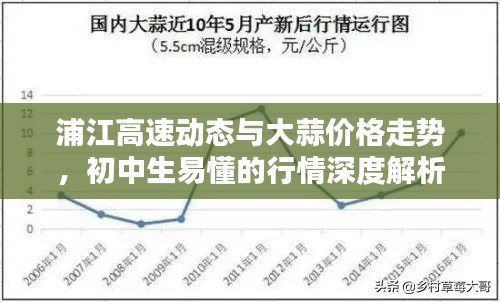 浦江高速动态与大蒜价格走势,初中生易懂的行情深度解析