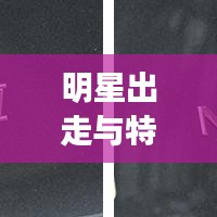 明星出走与特斯拉毛豆y新动态,热点话题解析