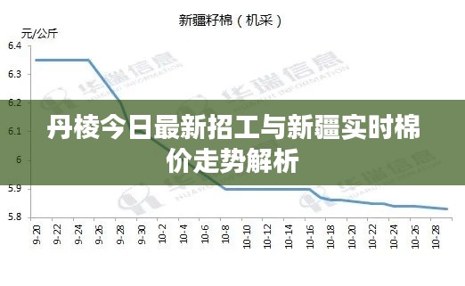 丹棱今日最新招工与新疆实时棉价走势解析
