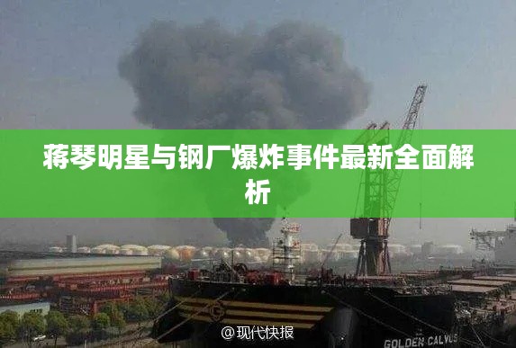 蒋琴明星与钢厂爆炸事件最新全面解析