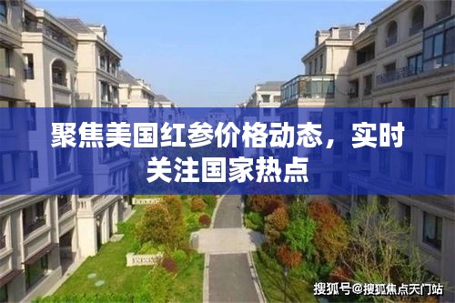 聚焦美国红参价格动态,实时关注国家热点