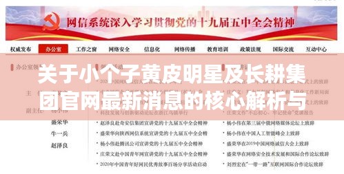 关于小个子黄皮明星及长耕集团官网最新消息的核心解析与策略探讨