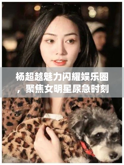 杨超越魅力闪耀娱乐圈,聚焦女明星尿急时刻与热点话题