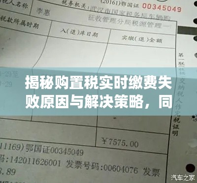 揭秘购置税实时缴费失败原因与解决策略，同时关注汉王数位板价格动态及购买指南