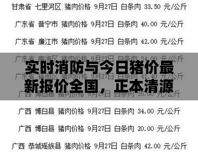 实时消防与今日猪价最新报价全国，正本清源、务实指导与打假警示