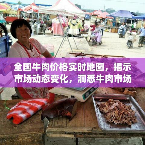 全国牛肉价格实时地图,揭示市场动态变化,洞悉牛肉市场趋势