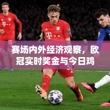 赛场内外经济观察,欧冠实时奖金与今日鸡蛋价格对比解析