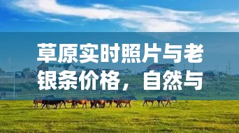 草原实时照片与老银条价格，自然与人文的完美交融