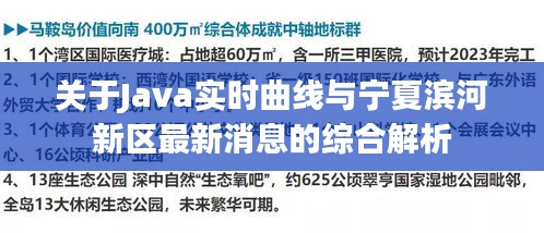 关于Java实时曲线与宁夏滨河新区最新消息的综合解析
