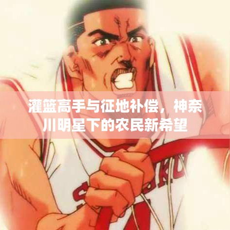 灌篮高手与征地补偿，神奈川明星下的农民新希望