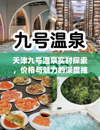 天津九号温泉实时探索,价格与魅力的深度推荐