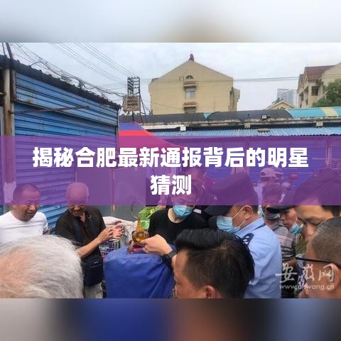 揭秘合肥最新通报背后的明星猜测