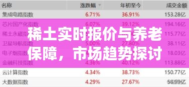稀土实时报价与养老保障，市场趋势探讨及未来展望的价格表指南